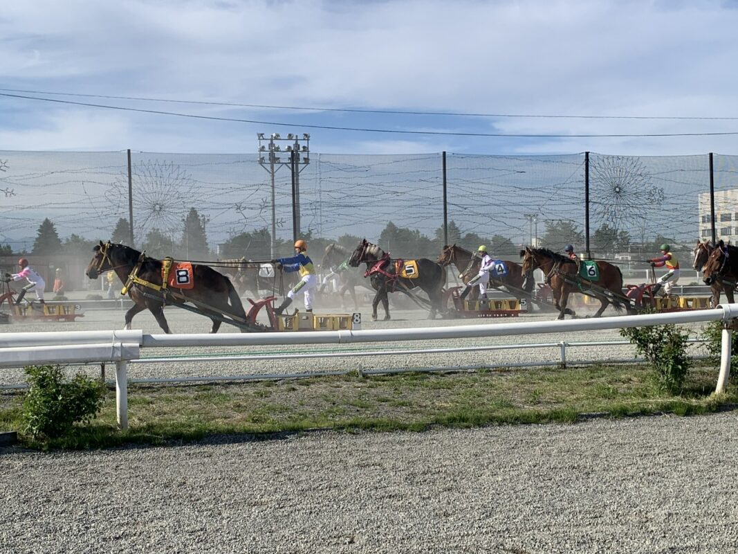 マジシャン 北海道旅　ばんえい競馬