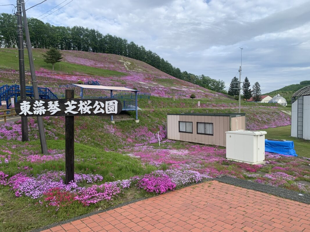 東藻琴　芝桜公園