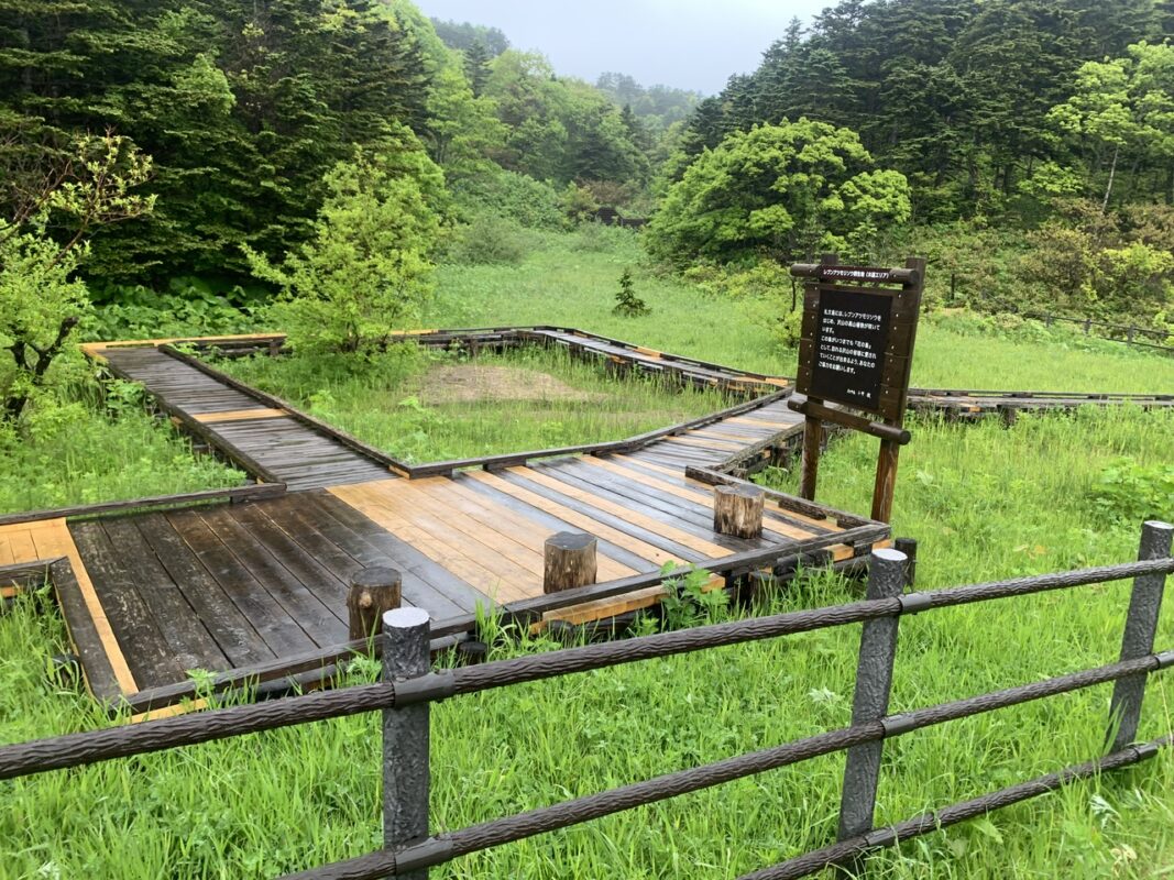 北海道礼文島