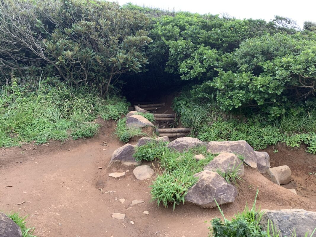 福島県糸島　トトロの森