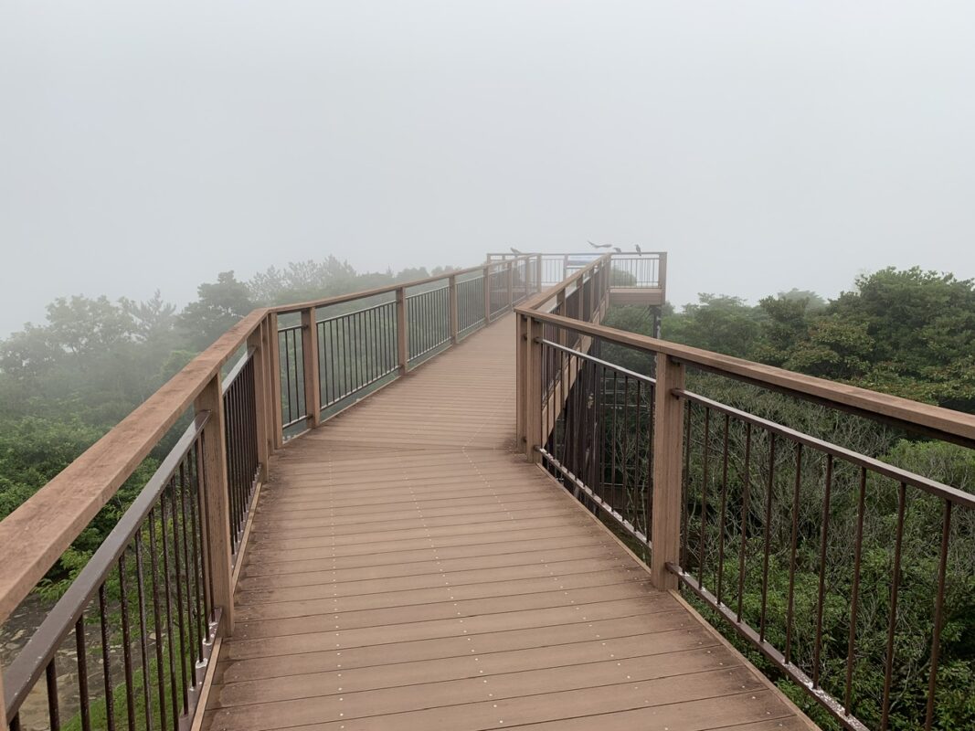 弓張岳展望台